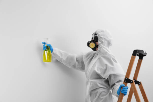 Best Mold Remediation for Healthcare Facilities  in Wekiwa Springs, FL